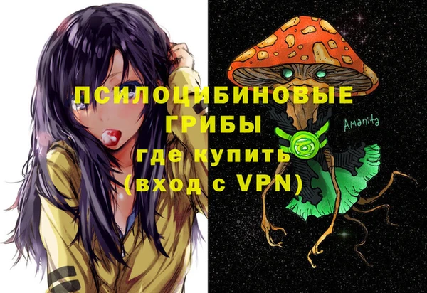 экстази Заводоуковск