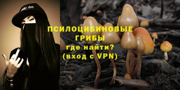 экстази Заводоуковск