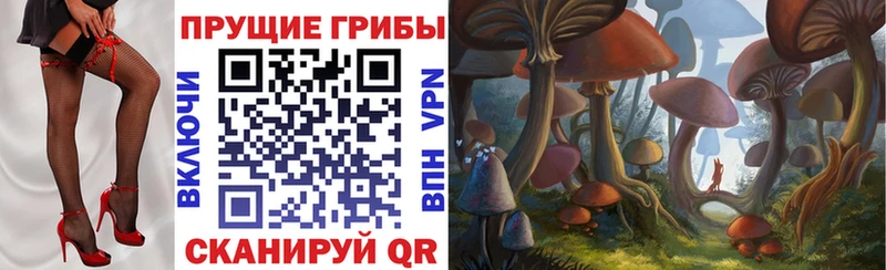 Галлюциногенные грибы Psilocybine cubensis  Купить  Ленск 